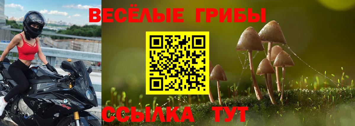 дарнет шоп  Вход с VPN  Сокол  Галлюциногенные грибы Cubensis  Псилоцибиновые грибы Psilocybe 